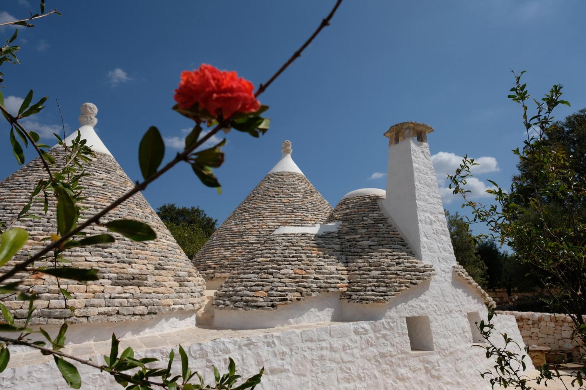 Dimora Iconica Βίλα Locorotondo Εξωτερικό φωτογραφία